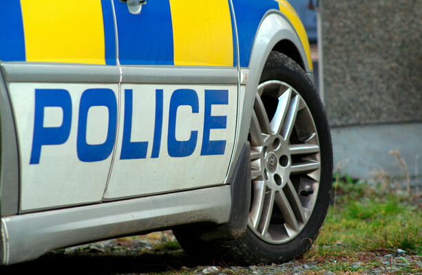 Four teenagers due in court over attack on man and his dog - thejournal.ie