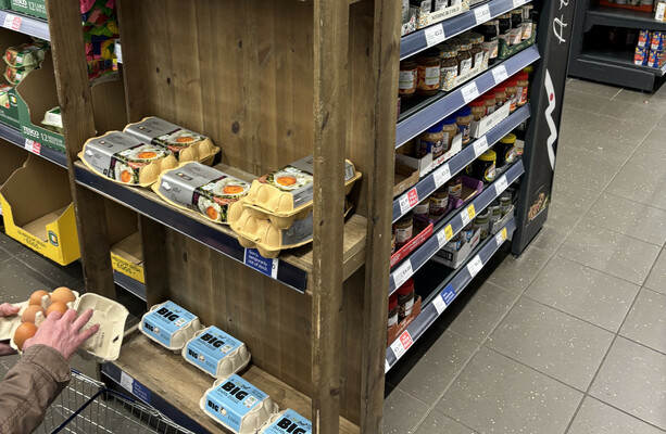 Increased demand and insufficient pay driving eggs from shelves, IFA says - The Journal