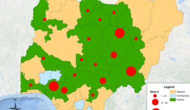 Lassa fever cases rise during peak season