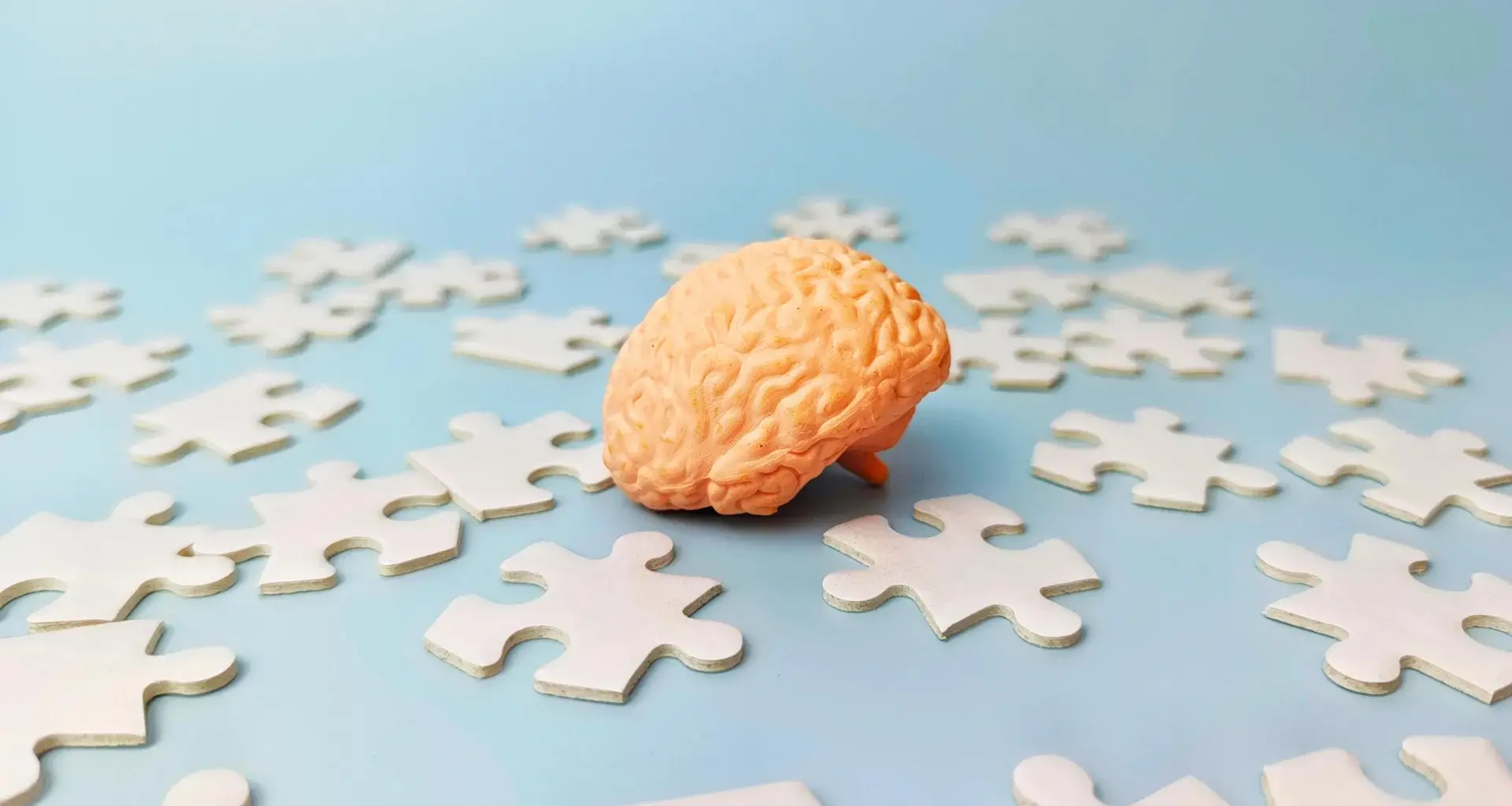 Scientists just solved a major mystery about how your brain stores memories