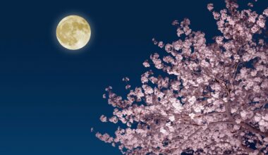 A glowing yellow full moon is seen in a dark blue sky with a pink blooming cherry tree below