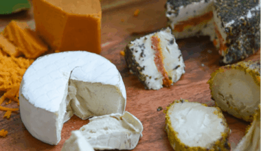 To the Moon With ‘Green’ Cheese: PETA Offers NASA Eco-Friendly, Vegan Cheeses for Moonshot