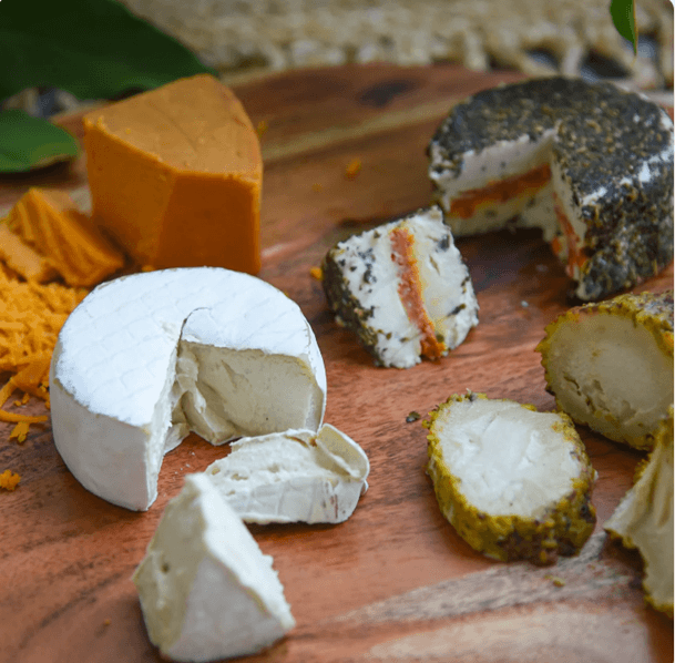 To the Moon With ‘Green’ Cheese: PETA Offers NASA Eco-Friendly, Vegan Cheeses for Moonshot
