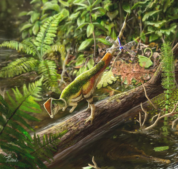 Life reconstruction of the pachycephalosaur individual CMNFV 22039 in an environment typical of the Upper Maastrichtian Frenchman Formation. Image credit: Kaitlin Lindblad.