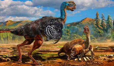 Oviraptors May Have Needed the Sun to Hatch Their Eggs