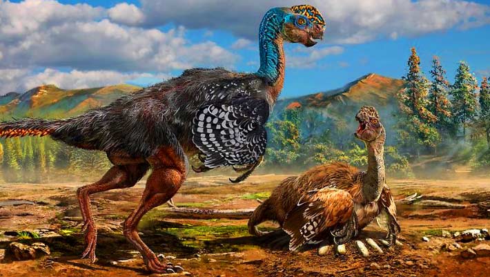 Oviraptors May Have Needed the Sun to Hatch Their Eggs