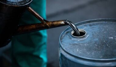 Top 5 Stories Of The Day