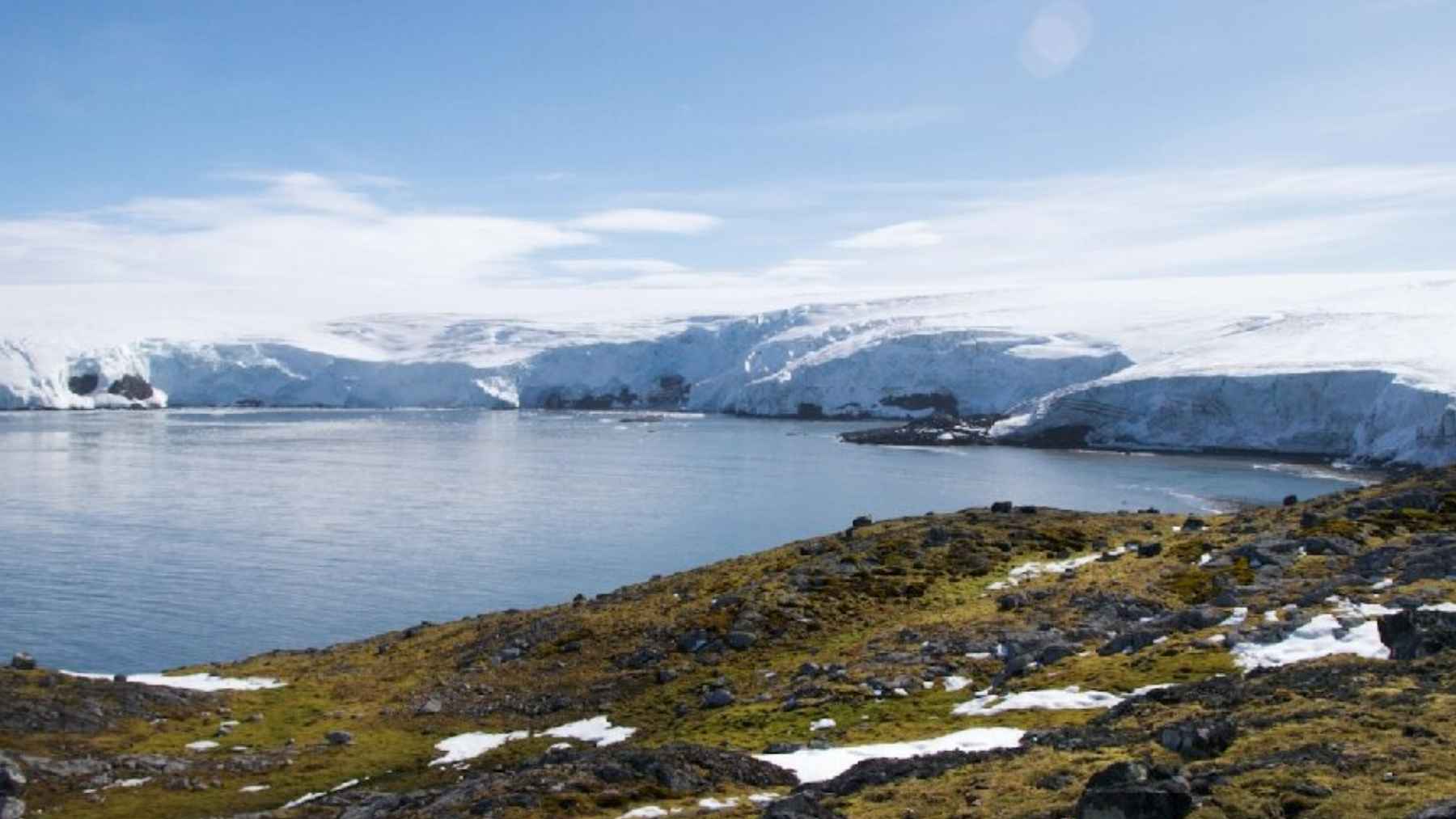 Arctic coastal landscape with melting ice and exposed tundra, illustrating how warming may open the region to invasive species.