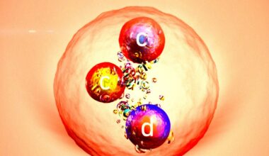 Large Hadron Collider Discovers All-New Particle