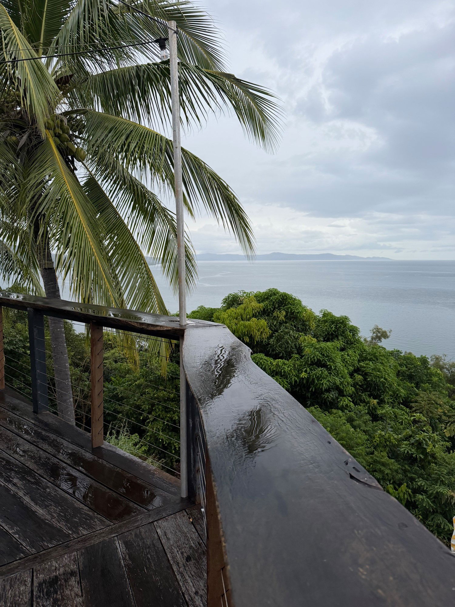 A view of the ocean from a verandah with palm trees
