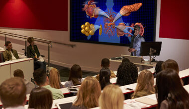 Role of epidemiology in supporting learning disability nurse education and practice