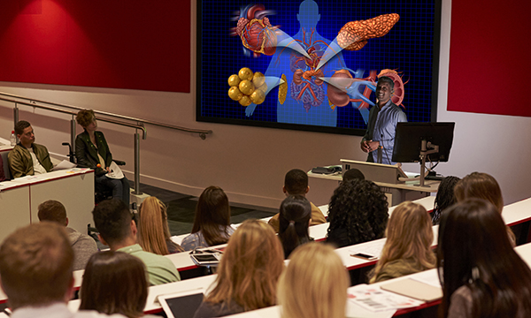 Role of epidemiology in supporting learning disability nurse education and practice