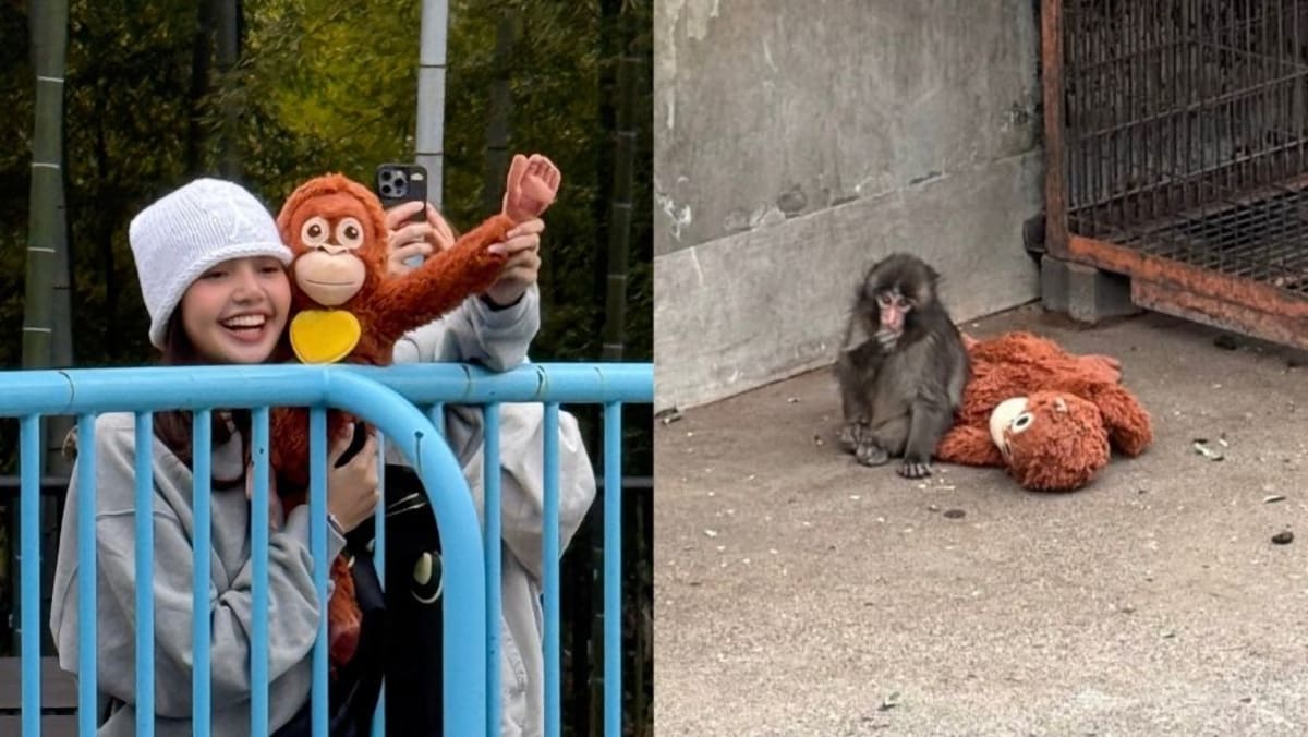 Blackpink’s Lisa meets Punch, the viral lonely monkey in Japan