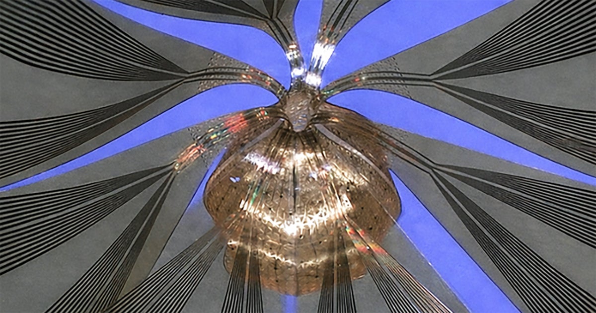 New Device Detects Brain Waves in Mini Brains Mimicking Early Human Development