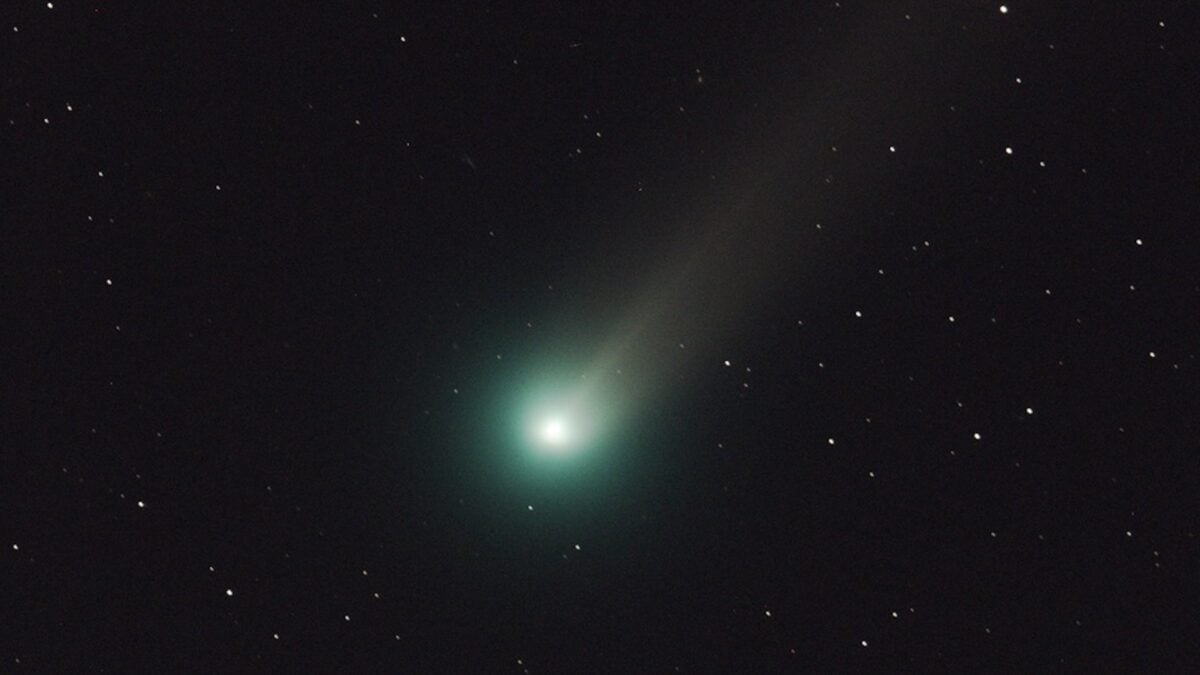 Newly Discovered Comet Could Appear During the Day—If It's Not Destroyed First