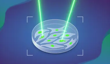 AI finally tests a century old theory about how cancer begins