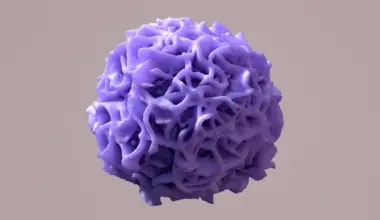 Scientists discover the genetic switch that keeps your organs healthy