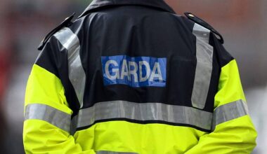 Man (20s) arrested over alleged assault and suspicious approaches to children in Dublin
