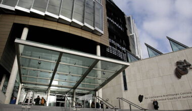 Man (25) to be sentenced for killing pensioner with a 'back spin kick, like MMA'