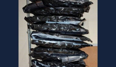 Man (30s) arrested after €110,000 worth of cannabis seized at Bauer Media offices in Dublin