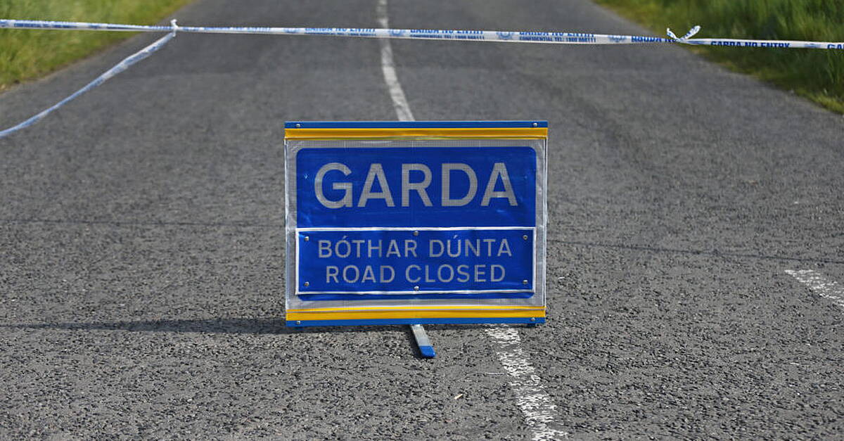 Man (80s) from injuries after being hit by a bus in Co Wicklow