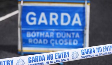 Man (80s) hospitalised after being struck by bus in Bray