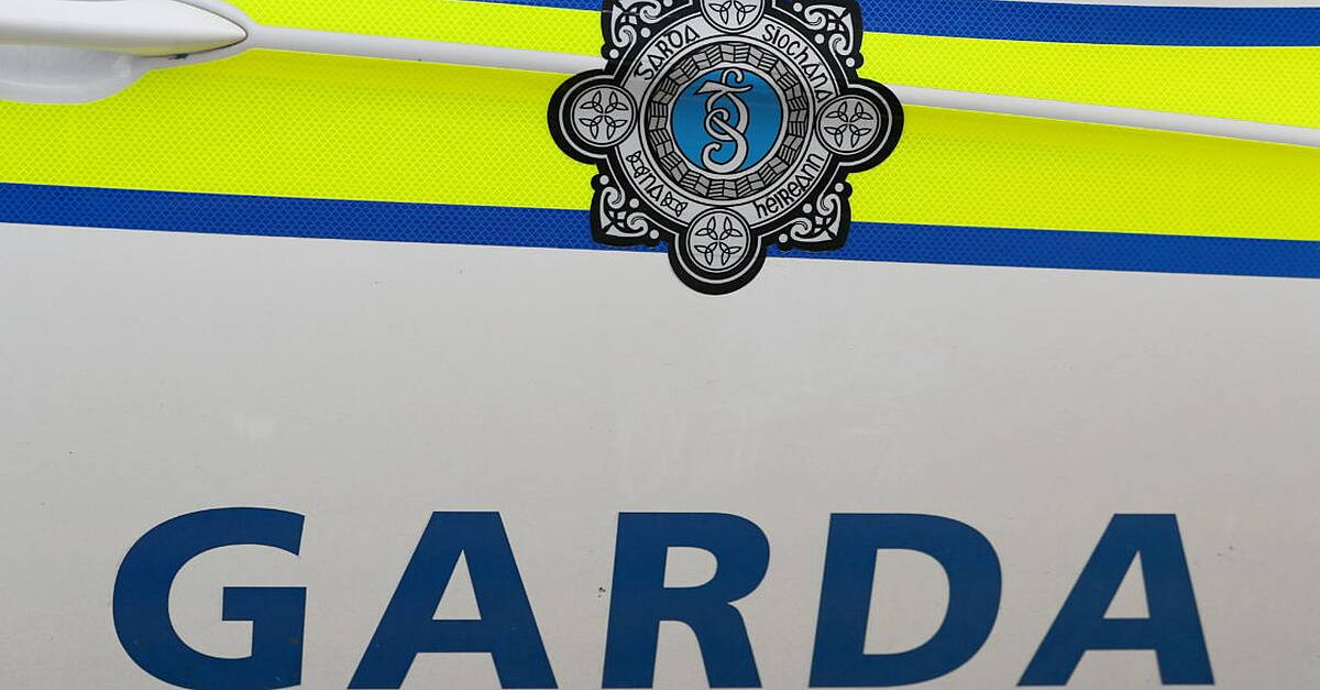 Man jailed for punching off-duty Garda on Christmas night out