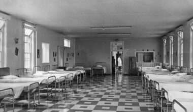 Bring back the insane asylums