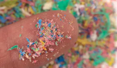 Microplastics may be quietly damaging your brain and fueling Alzheimer’s and Parkinson’s