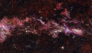 Stunning Image Reveals The Heart of Our Galaxy Like Never Before : ScienceAlert