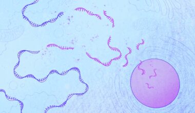 New insights into a hidden process that protects cells from harmful mutations | MIT News