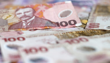 SunLive - RBNZ: Low productivity keeps NZ costs high