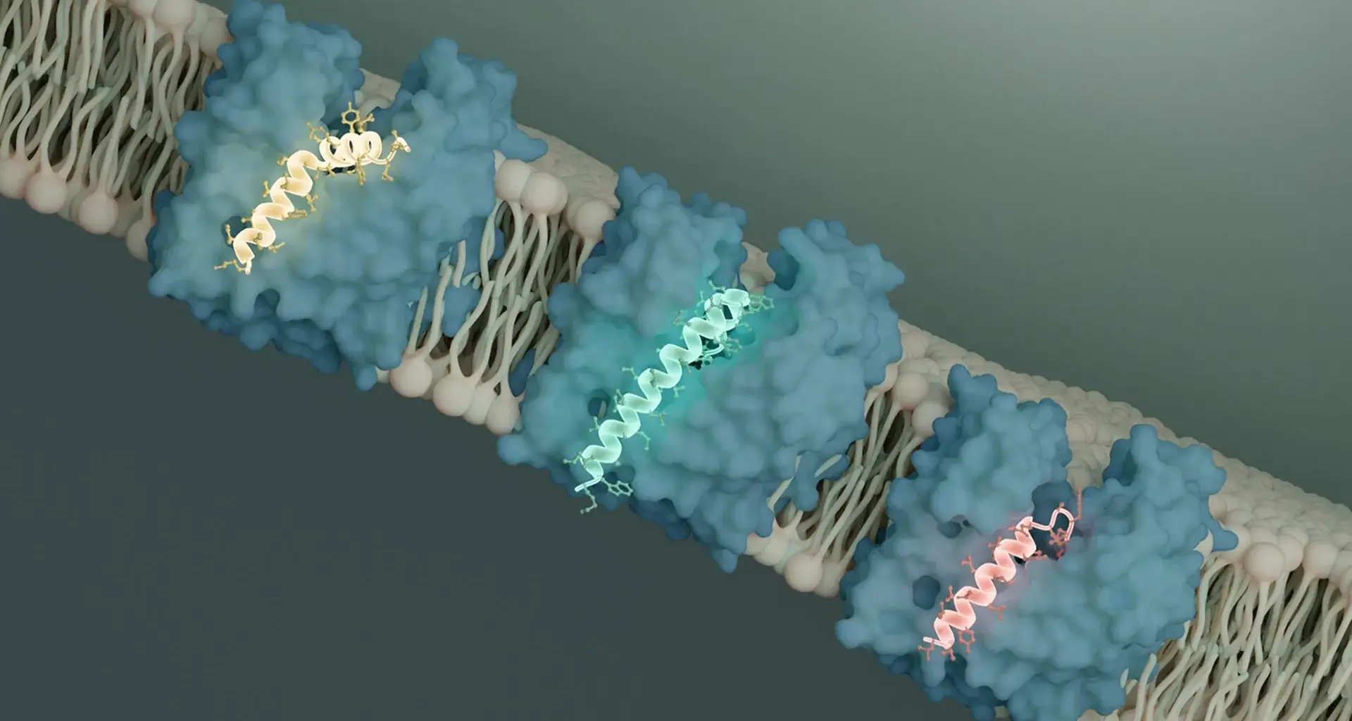 Scientists discover a bacterial kill switch and it could change the fight against superbugs
