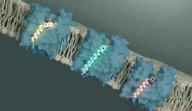 Scientists discover a bacterial kill switch and it could change the fight against superbugs