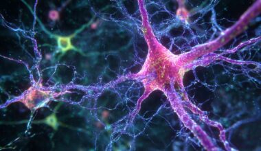 Neuroscience News logo for mobile.