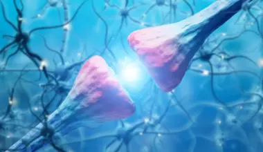 Scientists discover the brain protein that drives cocaine relapse