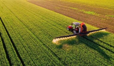 Fertilizer emissions may damage soil bacteria that help crops grow