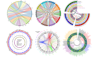 ESA–NASA Omics Data Sharing Seminar – 11 March
