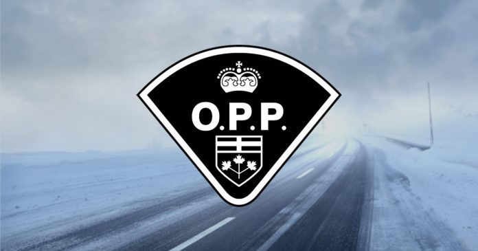 opp logowinter