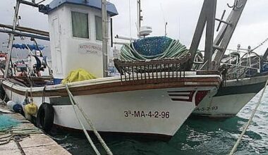 Malaga's most famous fish is packed with protein, omega-3 fatty acids and creatine