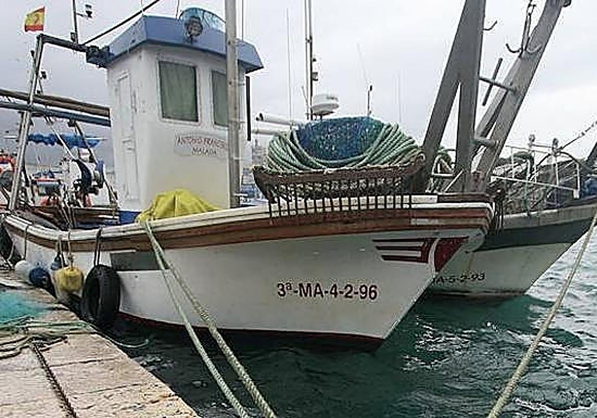 Malaga's most famous fish is packed with protein, omega-3 fatty acids and creatine