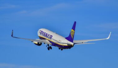 Ryanair reduces flight prices - The Portugal News