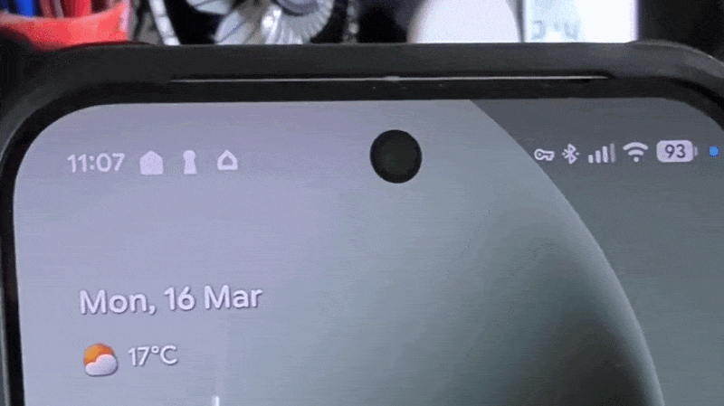 pixel 10 pro flicker rectangle