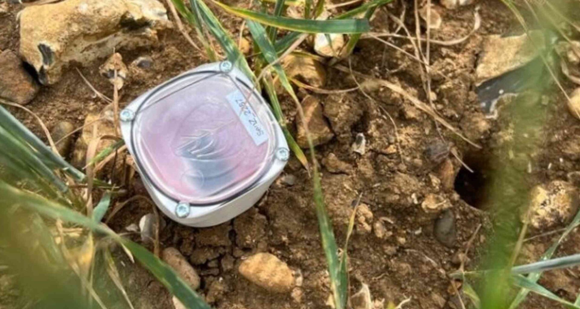 Plant-derived cellulose is a great tool for monitoring soil health