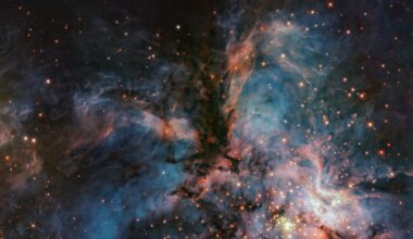 ESO's picture of the week shows a "cosmic hawk" and countless young stars in the RCW 36 nebula. Credit: ESO/A. R. G. do Brito do Vale et al. (2026).