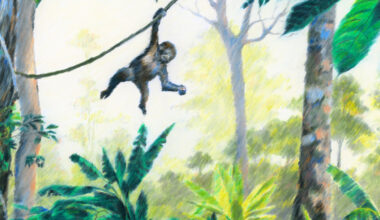 The Quest to Save One Baby Gorilla From Illegal Wildlife Trade