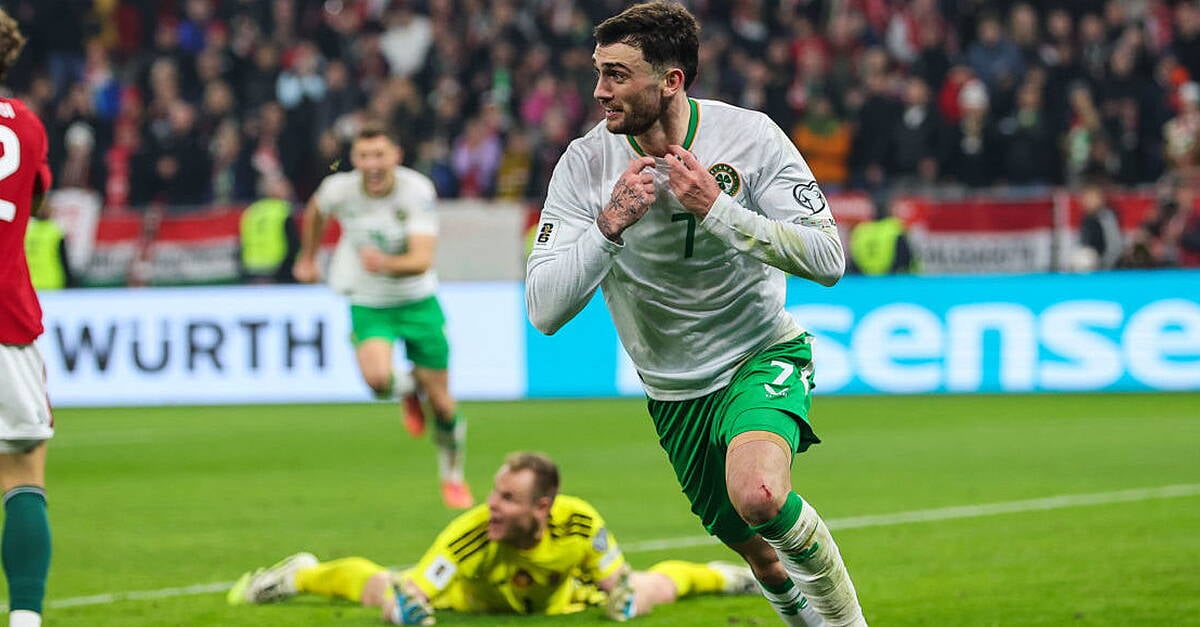 Ireland's history in the World Cup