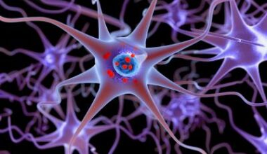 New biomarker improves diagnosis of Parkinson's and LBD • healthcare-in-europe.com