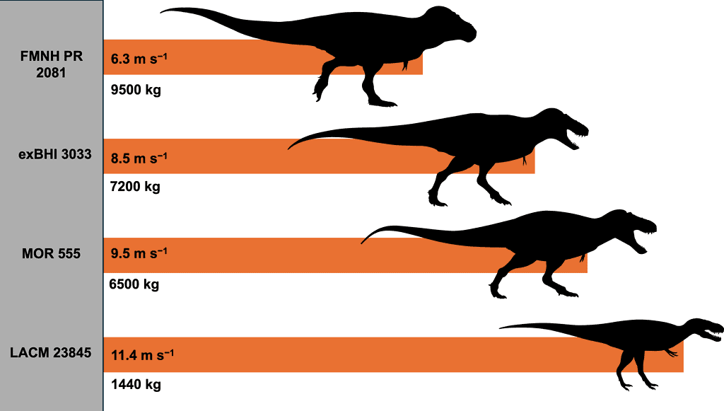 Comparison of 4 different T-rex specimens showing their estimated top speeds and weightd