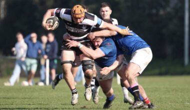 Irish Rugby | #EnergiaAIL Men’s Divisions: Round 16 Results Round-Up